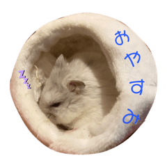 [LINEスタンプ] ふうちゃんスタンプ第一弾
