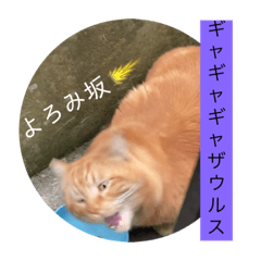 [LINEスタンプ] キャラメル固め？柔らかめ？