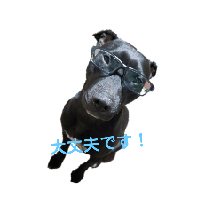 [LINEスタンプ] ぴっとぶるの？挨拶？