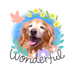 [LINEスタンプ] wishだよ☺️