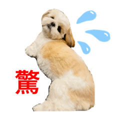[LINEスタンプ] シーズーピコスタンプ3