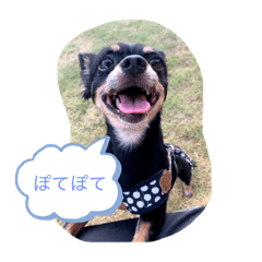 [LINEスタンプ] ぽてちcollection