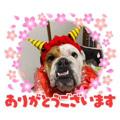 [LINEスタンプ] 大好き金太郎3