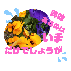 [LINEスタンプ] 毒舌お花