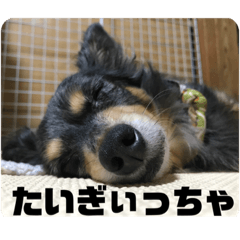 [LINEスタンプ] 鳥取弁を喋るマルスくん