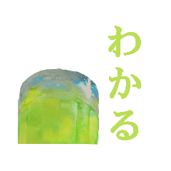 [LINEスタンプ] 緑茶のお気持ち表明