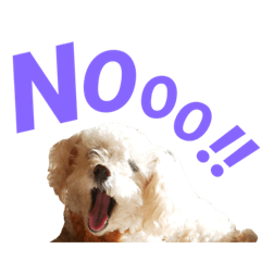 [LINEスタンプ] Cocoa.2