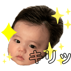 [LINEスタンプ] こたんぷ☆②