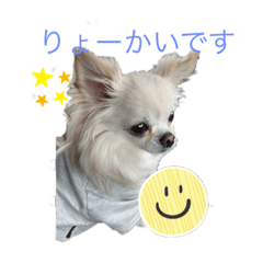 [LINEスタンプ] ゆずくんたち
