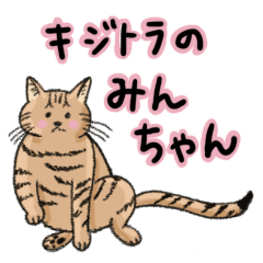 [LINEスタンプ] キジトラのみんちゃん