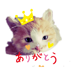 [LINEスタンプ] a-0008