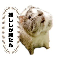[LINEスタンプ] おいらモカ