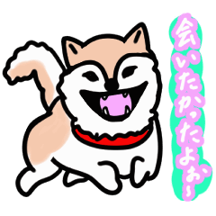 [LINEスタンプ] 可愛いワンちゃんの気持ちスタンプの画像（メイン）