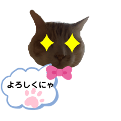 [LINEスタンプ] うちのあいつは今日も寝る