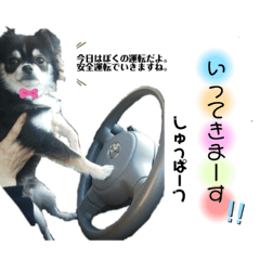 [LINEスタンプ] まる君☆スタンプ