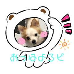 [LINEスタンプ] 挨拶方言