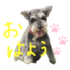 [LINEスタンプ] エルマ(1) ミニシュナwithポン太・コロネ
