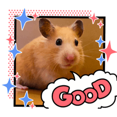 [LINEスタンプ] キンクマロン