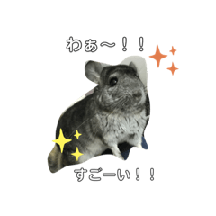 [LINEスタンプ] チンチラのらぶり❤︎