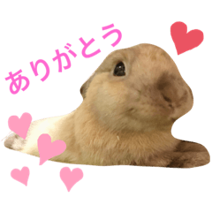 [LINEスタンプ] のんびりうーちゃん