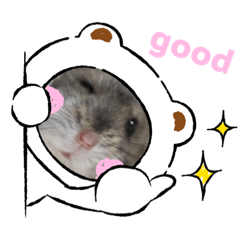 [LINEスタンプ] めめたんスタンプ①