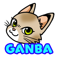[LINEスタンプ] 猫のガンバちゃん☆毎日たのしいスタンプ