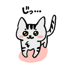 [LINEスタンプ] ねこねこ♡stamp