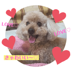 [LINEスタンプ] ペロちゃんとゆかいな毎日♡
