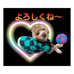 [LINEスタンプ] ほいほいくん