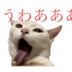 [LINEスタンプ] ごまぞースタンプ2