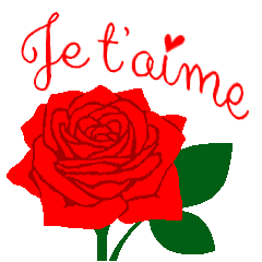 [LINEスタンプ] フランス語/『愛してる』赤い薔薇の花