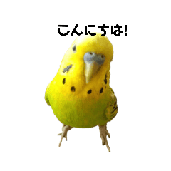 [LINEスタンプ] 生き物集1