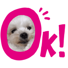 [LINEスタンプ] マフのマフマフ