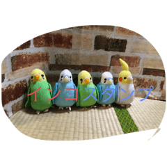 [LINEスタンプ] インコand恐竜スタンプ
