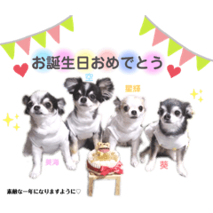[LINEスタンプ] 美海♡空♡葵♡愛夢♡星輝♡スタンプ