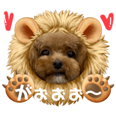 [LINEスタンプ] 可愛いわんぷー