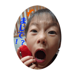 [LINEスタンプ] はるまくんの使えるスタンプ