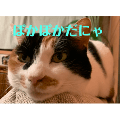 [LINEスタンプ] 春のまる