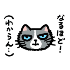 [LINEスタンプ] ぽたぬき★きゃっつ その1