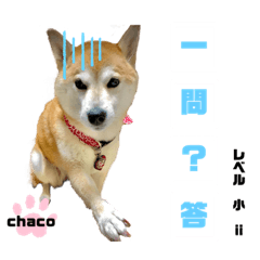 [LINEスタンプ] 四字熟語のお勉強 レベル 小 ⅱ