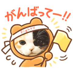 [LINEスタンプ] ラムとララ 猫大好きな人のスタンプ