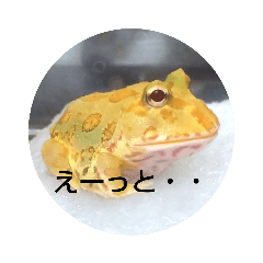[LINEスタンプ] カエルのベルツノさんとアルティメットさん