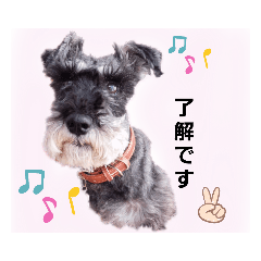 [LINEスタンプ] 返事・相づち～マロン君といっしょ～