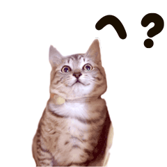 [LINEスタンプ] タイピー 日記スタンプ