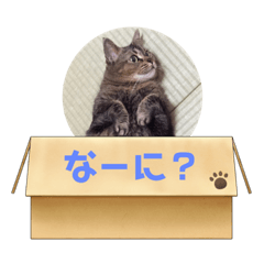 [LINEスタンプ] おくまはな