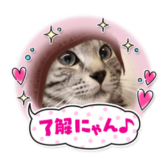 [LINEスタンプ] PON’sスタンプ