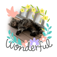 [LINEスタンプ] mogo Sticker