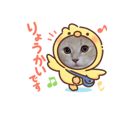 [LINEスタンプ] 可愛いにゃんこスタンプ4