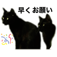 [LINEスタンプ] 感情を伝えたい時