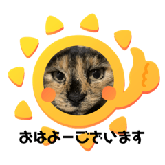 [LINEスタンプ] ツンデレふく3